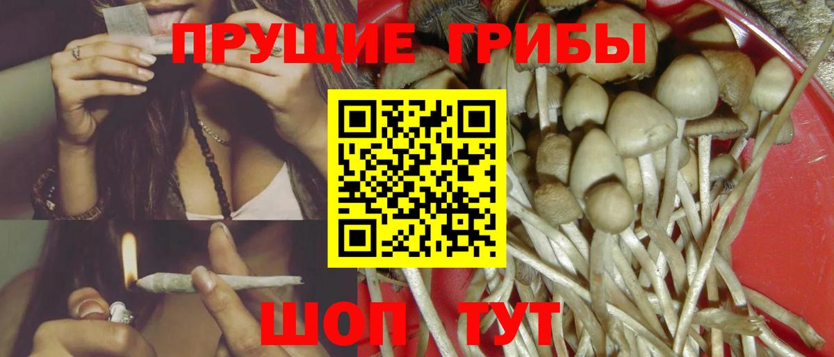 Псилоцибиновые грибы ЛСД  Вход с VPN  Галлюциногенные грибы Psilocybe  Алейск 